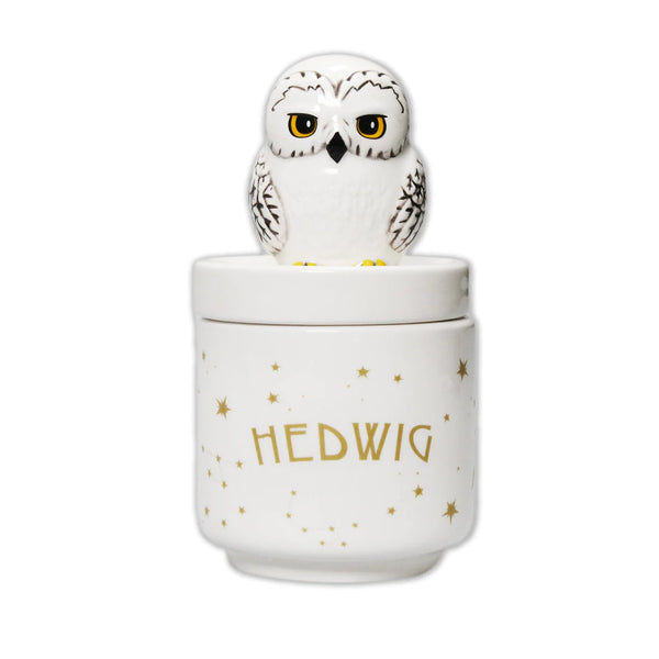 Harry Potter - Collectors Box Hedwig