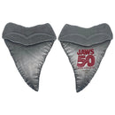 Jaws - 50th Anniversary Shark Tooth Medallion