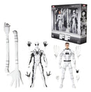 Marvel - Marvel Legends Future Foundation 2-Pack Mister Fantastic & Spider-Man