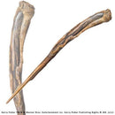 Harry Potter - Noble Collection Harry Potter Prop Replica 